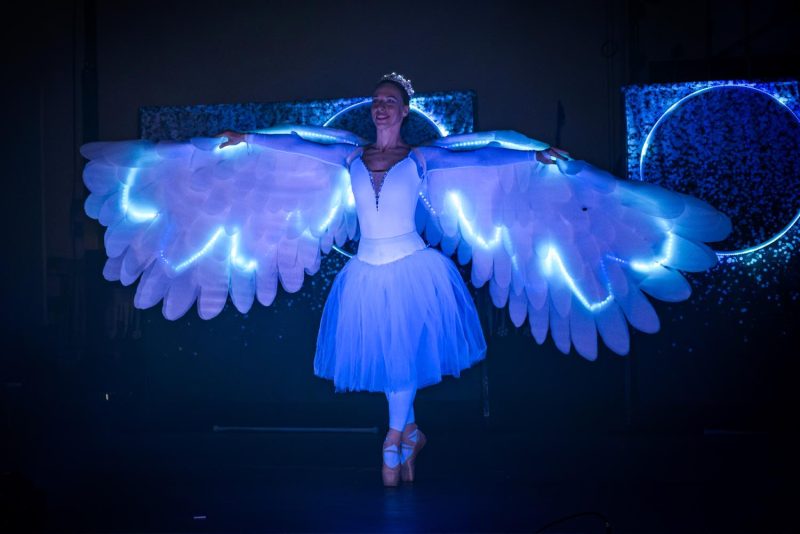 Art of Winter - lightshow Ilusias