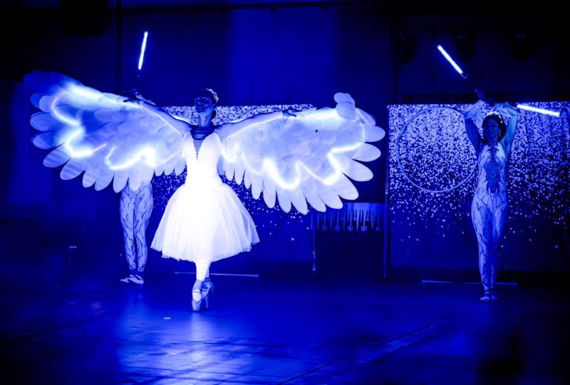 Art of Winter - lightshow Ilusias